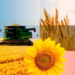 Live news: Ukraine expands grain exports via the EU