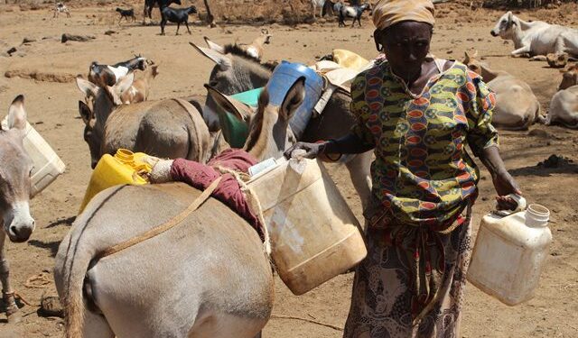 WFP secures US4.5 million to fight hunger in Kenya WFP secures US4.5 million to fight hunger in Kenya