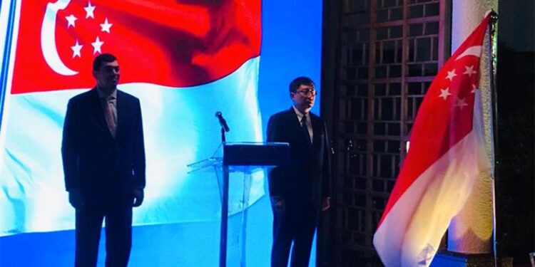 Singapore is Egypt’s fourth largest Asian investor: Ambassador Goh – Markets & Companies – Business