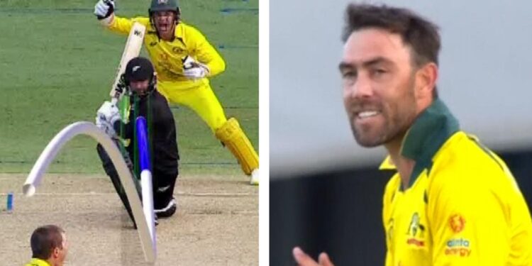 How to watch, stream, teams, Aaron Finch updates in Cairns How to watch, stream, teams, Aaron Finch updates in Cairns