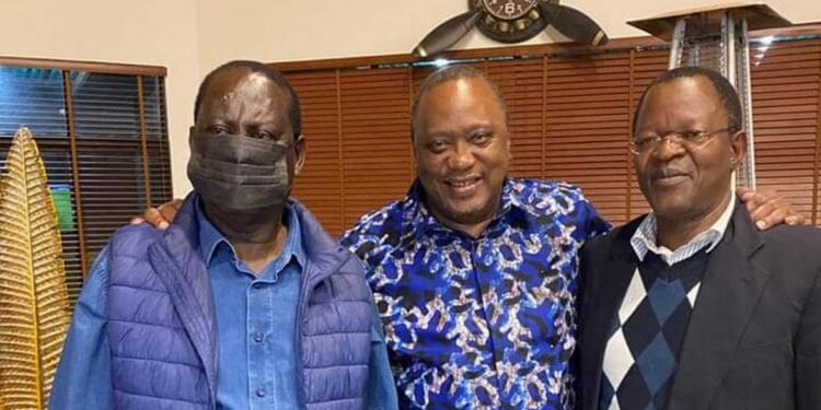 Raila Odinga nurses injuries after minor accident
