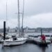 Fiona wallops Canada’s Novia Scotia with storm surges expected Fiona wallops Canada’s Novia Scotia with storm surges expected