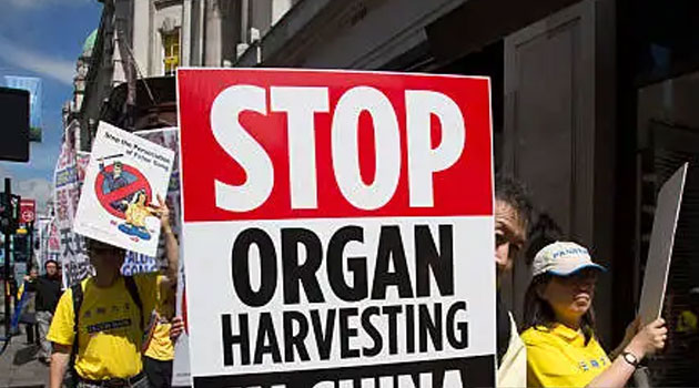 24 Kenyans rescued from traffickers in Laos amid concerns over illegal organ extraction » Capital News 24 Kenyans rescued from traffickers in Laos amid concerns over illegal organ extraction » Capital News