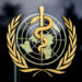 ‘Worrying upsurge’ in cholera worldwide: WHO | The Guardian Nigeria News ‘Worrying upsurge’ in cholera worldwide: WHO | The Guardian Nigeria News