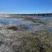 Hurricane Ian impacts Alabama: ‘Coastal setup’ sucks water out of Mobile Bay Hurricane Ian impacts Alabama: ‘Coastal setup’ sucks water out of Mobile Bay