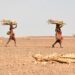3 more counties slide into alarm phase as drought worsens » Capital News 3 more counties slide into alarm phase as drought worsens » Capital News