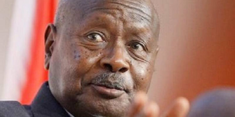 ‘KTN News’ is President Yoweri Museveni’s favourite Kenyan TV station ‘KTN News’ is President Yoweri Museveni’s favourite Kenyan TV station