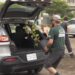National Tree Day marked in London