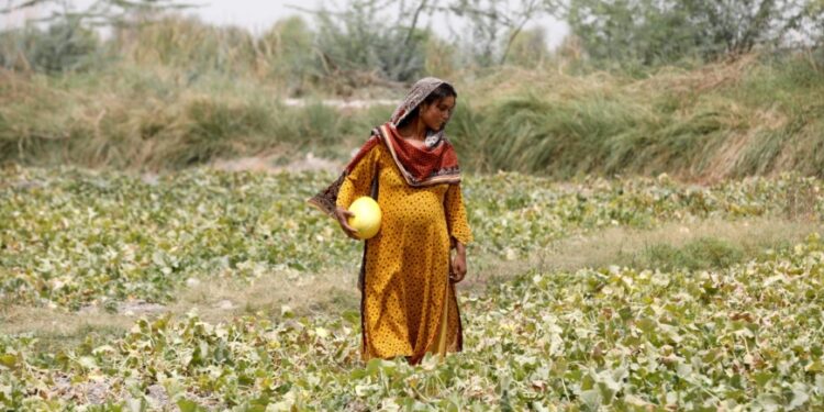 Around the world, women are sacrificing their health to shield families from spiking costs Around the world, women are sacrificing their health to shield families from spiking costs