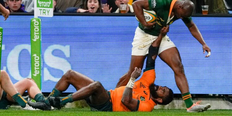 Australia vs South Africa LIVE: Rugby Championship result and final score as Springboks beat Wallabies Australia vs South Africa LIVE: Rugby Championship result and final score as Springboks beat Wallabies