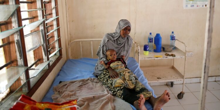 MSF Warns of Measles, Cholera Outbreaks at Kenya Refugee Complex MSF Warns of Measles, Cholera Outbreaks at Kenya Refugee Complex