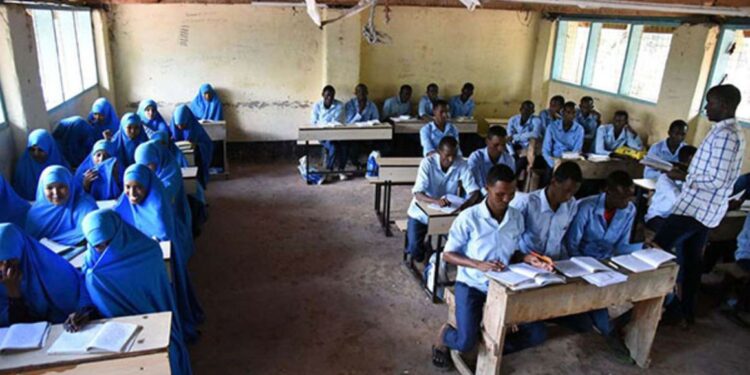 Kenya to list skilled refugees for online work Kenya to list skilled refugees for online work