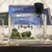 Uber Eats to process cannabis deliveries in Toronto through new Leafly partnership – Canada News Uber Eats to process cannabis deliveries in Toronto through new Leafly partnership – Canada News