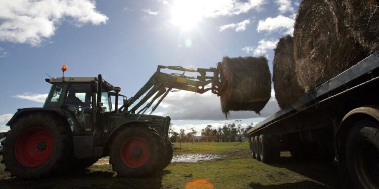 Nationals committed to ‘rebuilding trust’ with rural women
