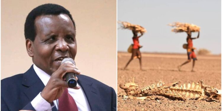 Reuben Kigame Asks Gov’t to Buy Maize from North Rift Farmers to Feed Starving Kenyans