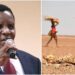 Reuben Kigame Asks Gov’t to Buy Maize from North Rift Farmers to Feed Starving Kenyans Reuben Kigame Asks Gov’t to Buy Maize from North Rift Farmers to Feed Starving Kenyans