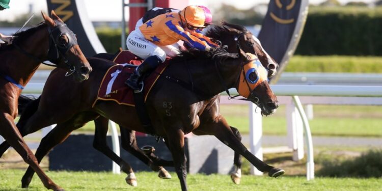 Saturday best bets in New Zealand Saturday best bets in New Zealand