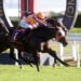 Saturday best bets in New Zealand