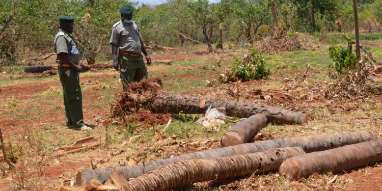 Leaders call for fencing off of forests – Kenya News Agency