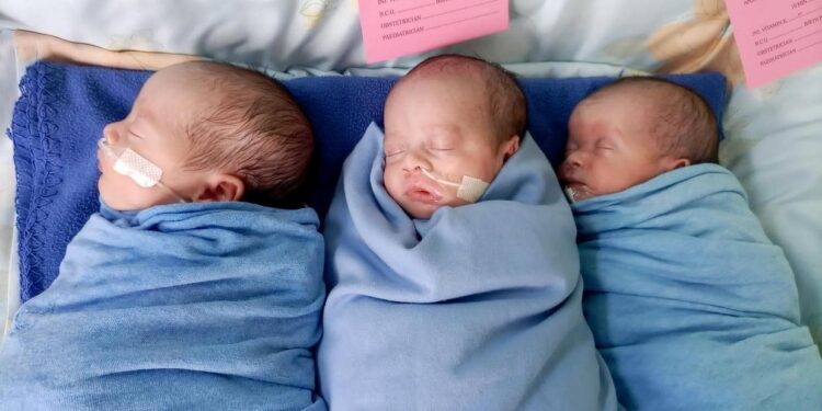 Heartbroken Dublin dad ‘cried the whole way home’, after being forced to leave surrogate triplets in Kenya Heartbroken Dublin dad ‘cried the whole way home’, after being forced to leave surrogate triplets in Kenya
