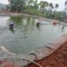 Fish consumption programme rolled-out in Kiambu – Kenya News Agency