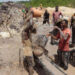 CSIR calls for pragmatic strategies to stop illegal mining CSIR calls for pragmatic strategies to stop illegal mining