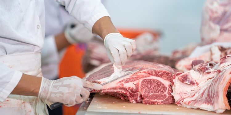 A new deal will see South Africa export up to 1,000 tons of beef to Saudi Arabia per year A new deal will see South Africa export up to 1,000 tons of beef to Saudi Arabia per year