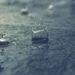 Victorian SES provides update on flooding river levels