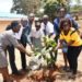 Bank Mentors Kiambu Students to Improve – Kenya News Agency