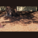 Silicon Valley’s Lead Art Broker Reports on the 2022 Menlo Park Silicon Valley Sculpture Art Fair Silicon Valley’s Lead Art Broker Reports on the 2022 Menlo Park Silicon Valley Sculpture Art Fair