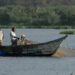 Disaster strikes fish farming in Kenya Disaster strikes fish farming in Kenya