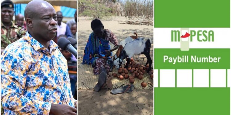Gov’t to Roll Out Pay Bill Number to Raise Money for Drought Relief