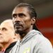 Champions of Africa Senegal add perspiration to bags of inspiration and England must be wary Champions of Africa Senegal add perspiration to bags of inspiration and England must be wary