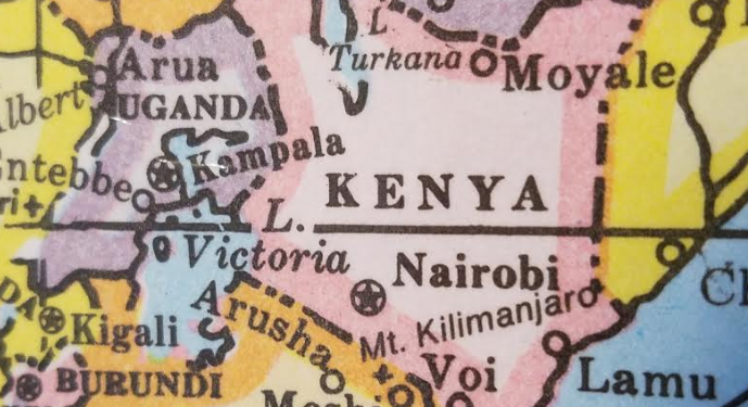 Kenya: Anthrax outbreak sickens 10 in Kisii County