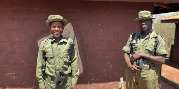 Night lights and buffaloes in camp | Improving rangers’ comfort Night lights and buffaloes in camp | Improving rangers’ comfort