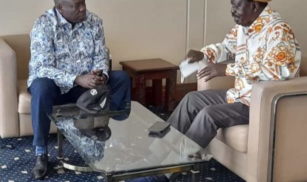 We need a strong Opposition to amplify alternative voice in Kenya » Capital News