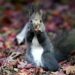 Preparations for winter – The Japan News Preparations for winter – The Japan News