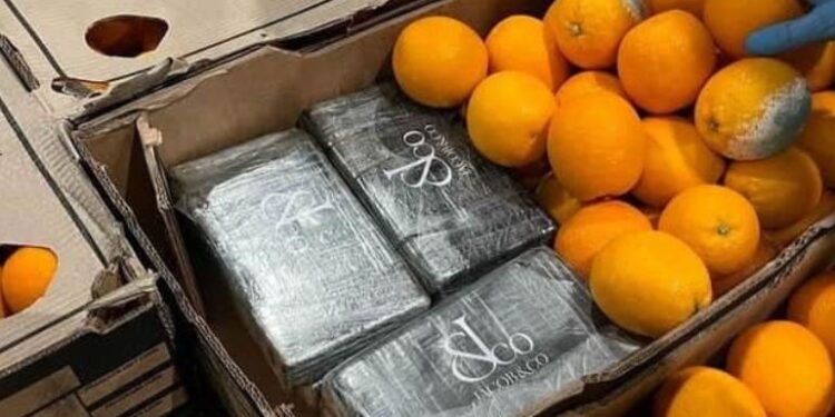 UK Police Seize Cocaine Sealed in Oranges From South Africa – Taarifa Rwanda UK Police Seize Cocaine Sealed in Oranges From South Africa – Taarifa Rwanda