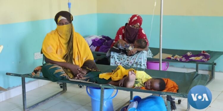 Kenya Concerned by Cholera, Measles Outbreaks at Congested Refugee Camp Kenya Concerned by Cholera, Measles Outbreaks at Congested Refugee Camp