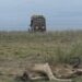 Drought kills hundreds of animals in Kenya’s national park Drought kills hundreds of animals in Kenya’s national park