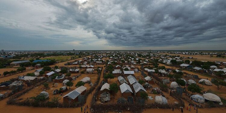 Thousands of Somalis cross over to Kenya fleeing drought, insecurity Thousands of Somalis cross over to Kenya fleeing drought, insecurity