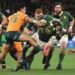 South African rugby made progress, but now optimum resu… South African rugby made progress, but now optimum resu…