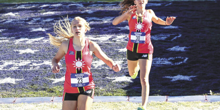 Alyssa Sauro earns All-American status | News, Sports, Jobs Alyssa Sauro earns All-American status | News, Sports, Jobs
