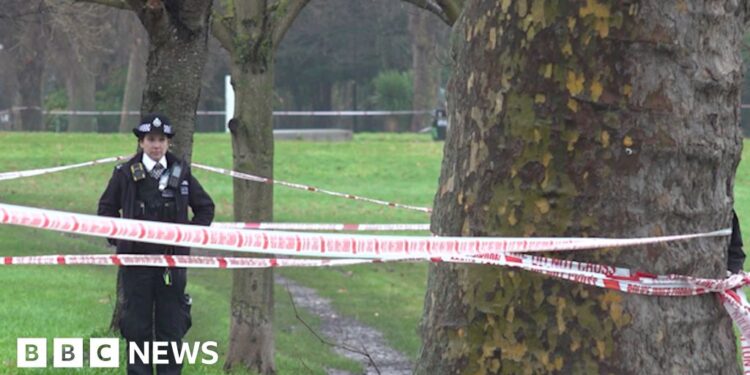 Peckham Rye: Man, 29, stabbed to death in park – BBC