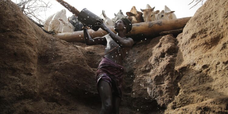 In brutal drought, Kenyan herders look for hope underground
