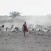 UN summit: Don’t repeat mistakes on nature, scientists warn UN summit: Don’t repeat mistakes on nature, scientists warn