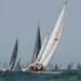 Favourable weather conditions forecast for Sydney to Hobart race