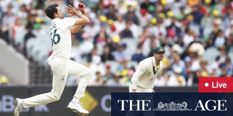 Australia v South Africa at the MCG, results, scores, wickets, odds, how to watch, David Warner Australia v South Africa at the MCG, results, scores, wickets, odds, how to watch, David Warner