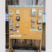 Fake meter vendors are in the system – ECG cautions customers Fake meter vendors are in the system – ECG cautions customers