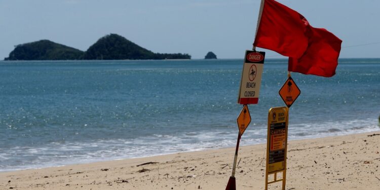 Swimming between the flags in decline on Australian beaches Swimming between the flags in decline on Australian beaches